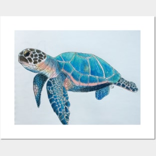 Sea Turtle Ocean Posters and Art